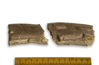 F 07456
<br/>
<br/>
<em></em>